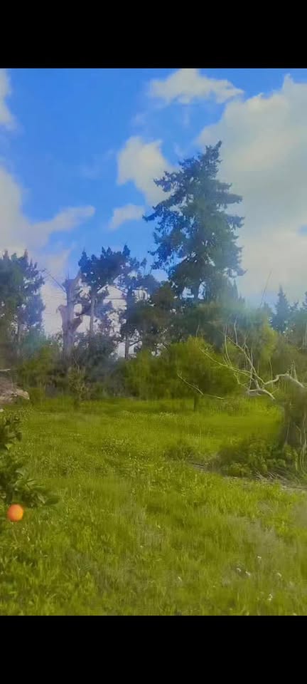 Soliman&nbsp;Soliman&nbsp;Vente&nbsp;Surfaces&nbsp;Une  ferme