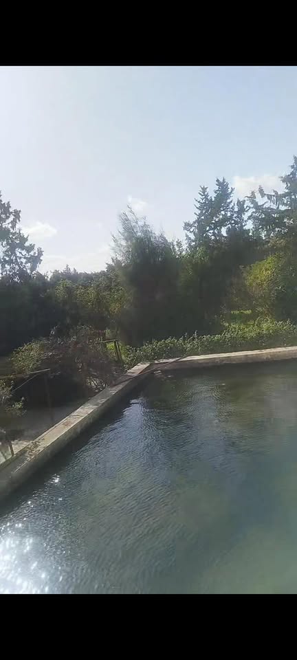 Vente&nbsp;Surfaces - Tunisie