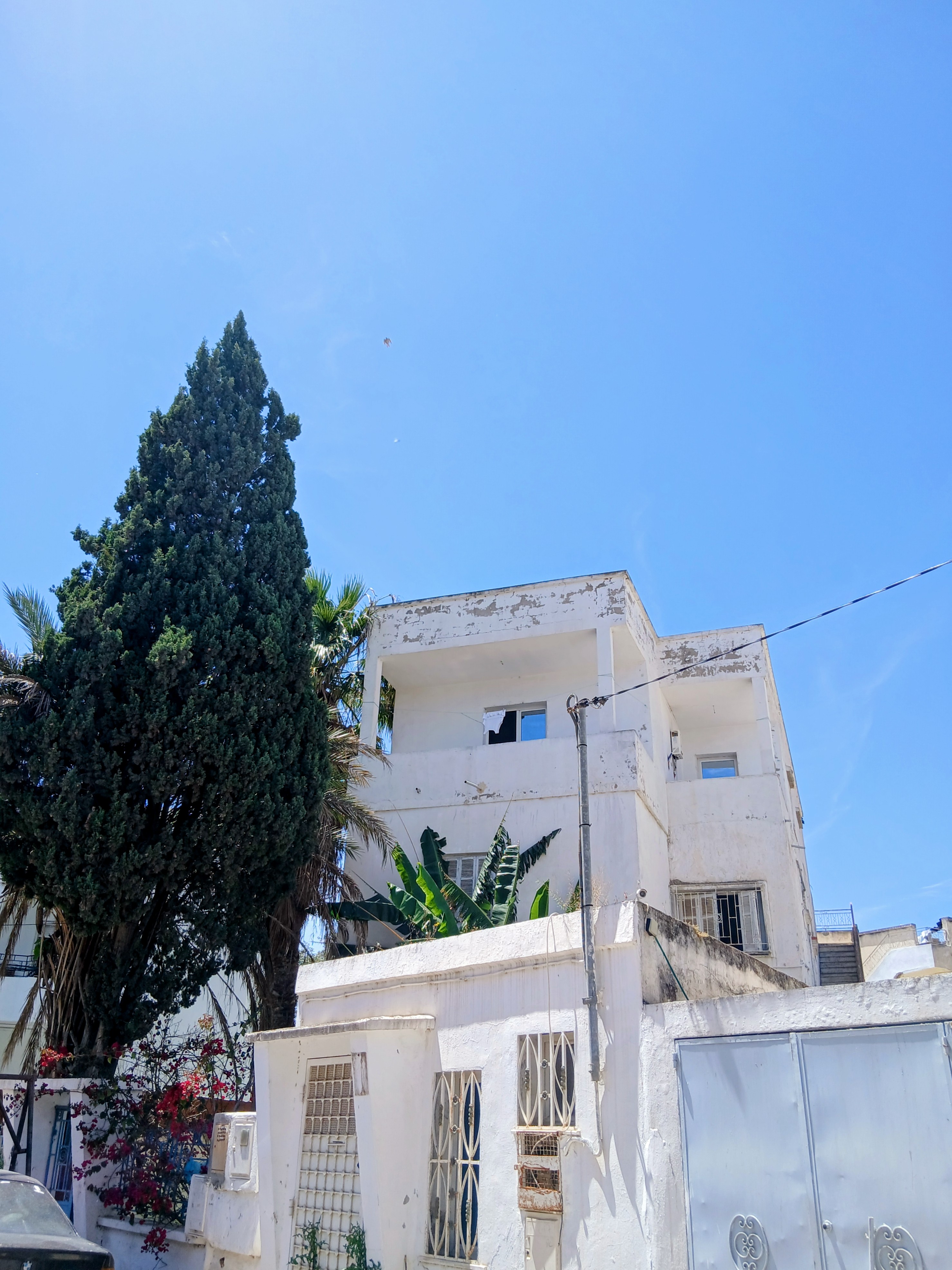 Vente&nbsp;Appart. 5 pi�ces+ - Tunisie