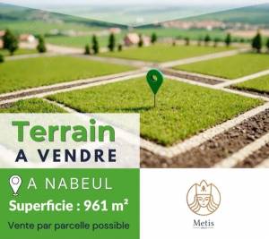 Vente&nbsp;Surfaces - Tunisie