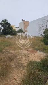 Vente&nbsp;Surfaces - Tunisie