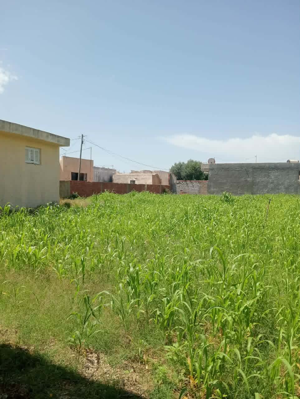 El Haouaria&nbsp;El Haouaria&nbsp;Vente&nbsp;Maisons&nbsp;Maison 1400m2 sur deux routes