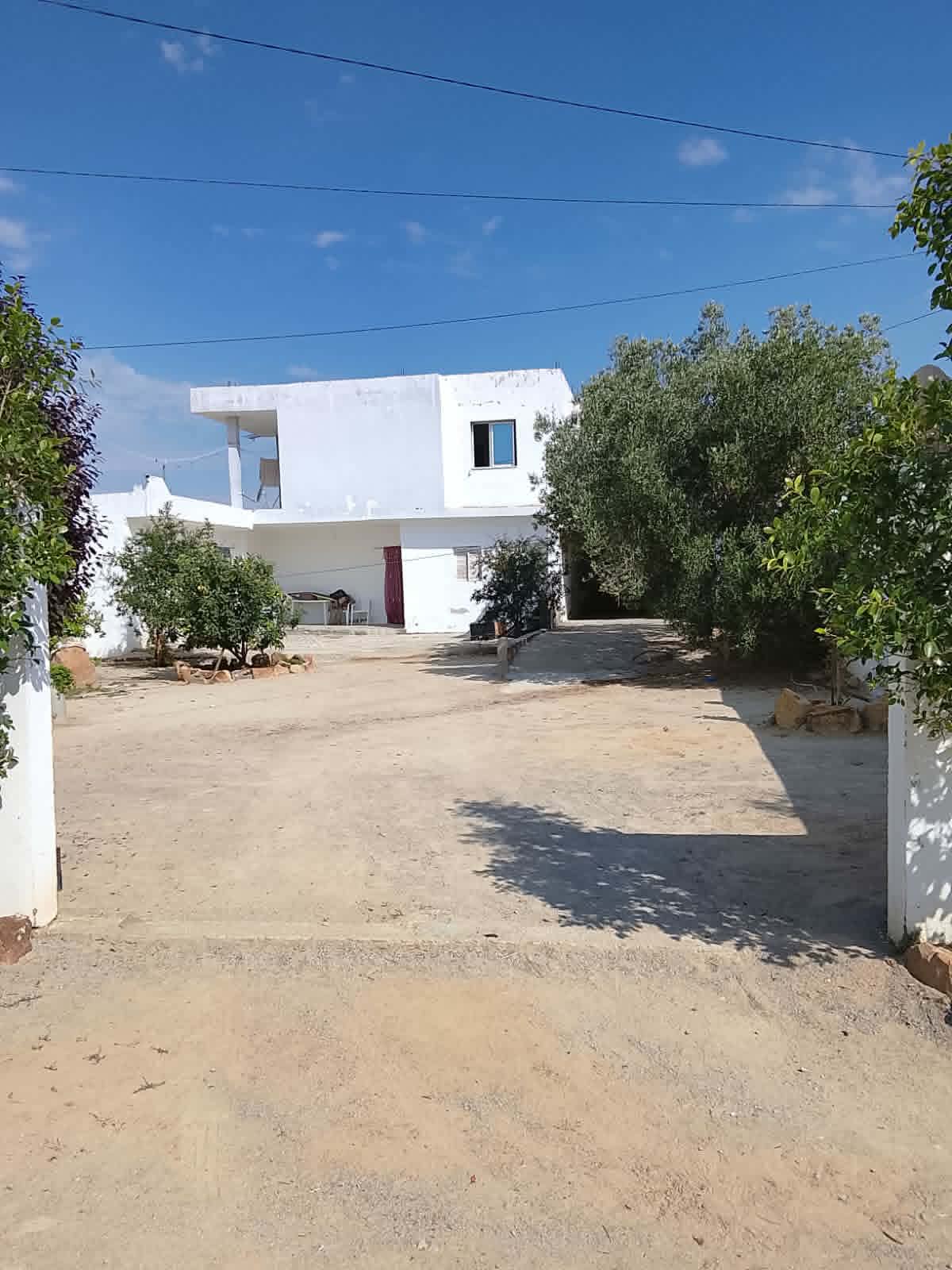 Hammamet&nbsp;Hammamet&nbsp;Vente&nbsp;Maisons&nbsp;Av 2 maisons de 560m � hammamet