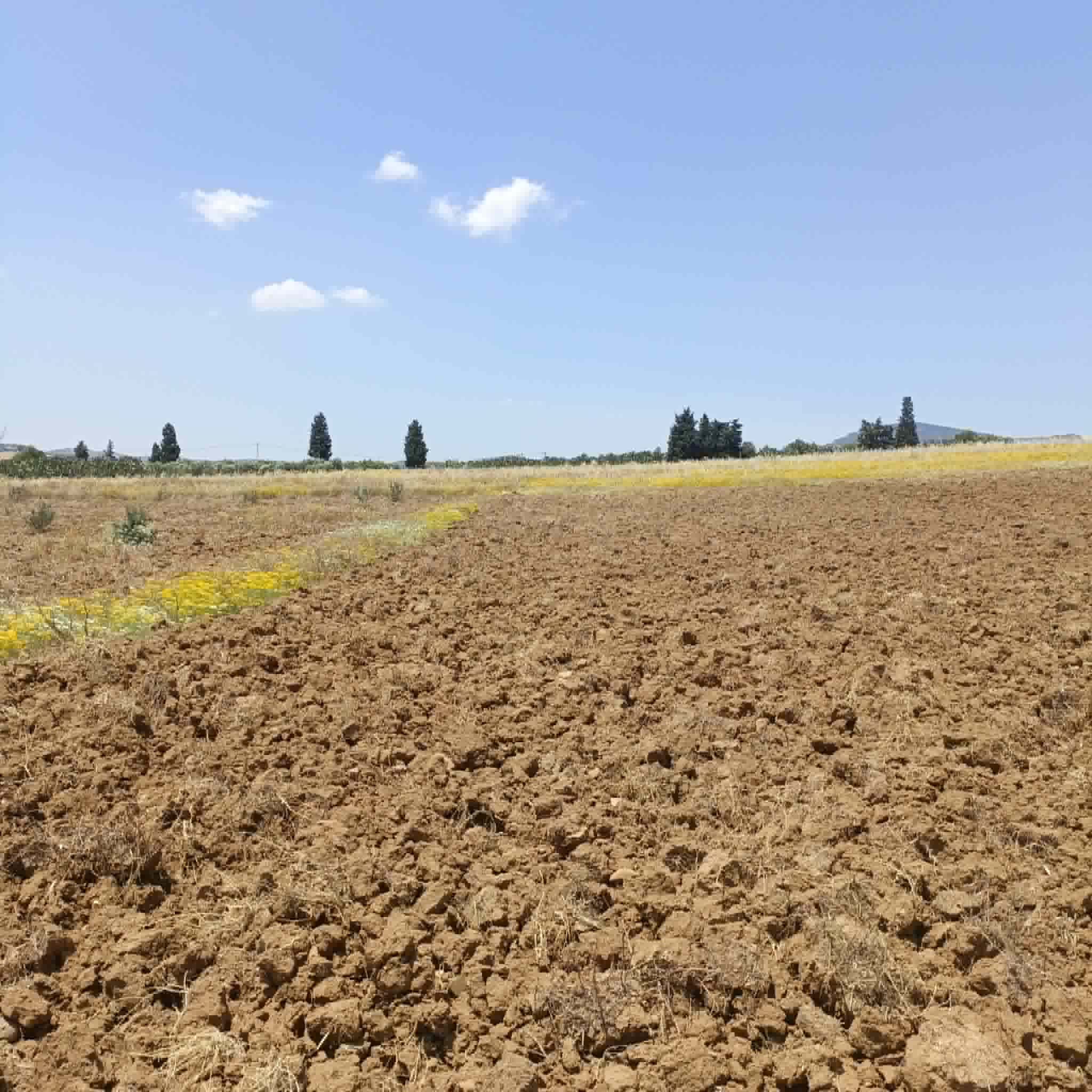 Vente&nbsp;Maisons - Tunisie