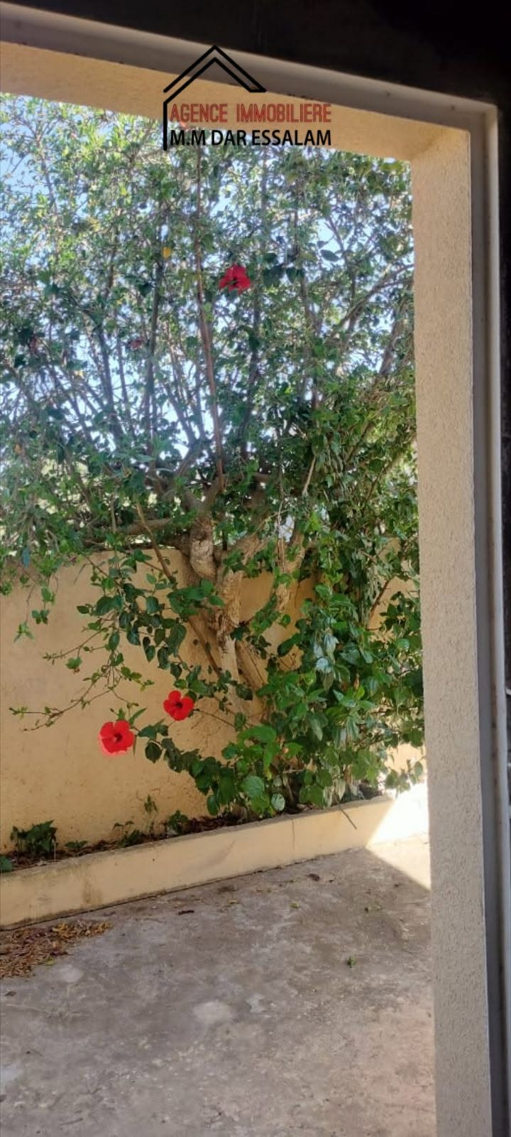 El Haouaria&nbsp;El Gorfa&nbsp;Vente&nbsp;Maisons&nbsp;Maison une maison spacieuse avec un garage