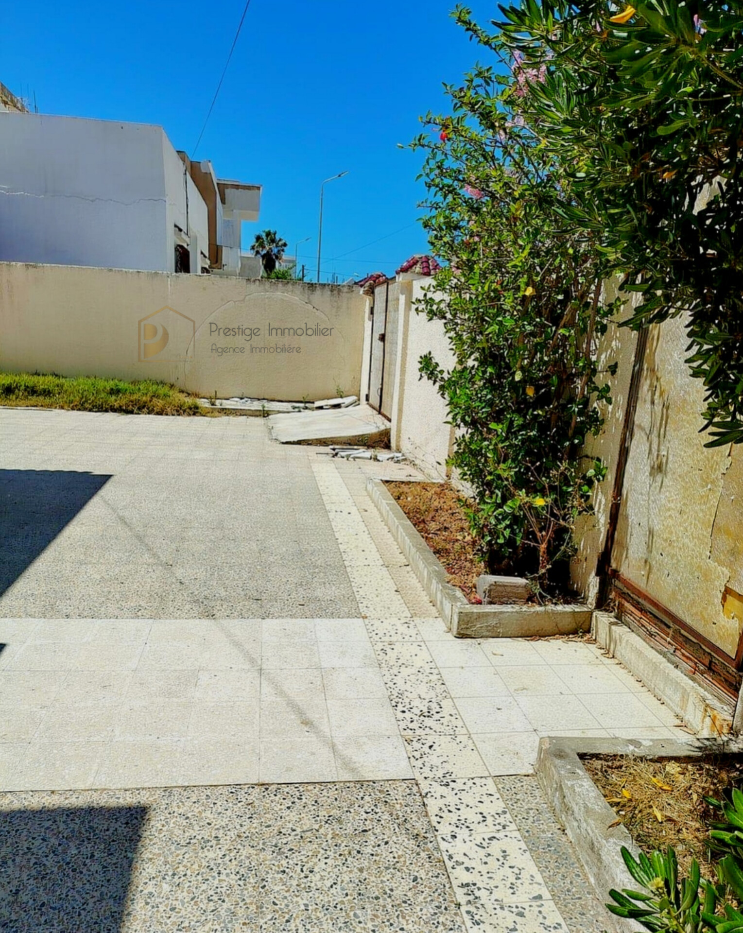 Soliman&nbsp;Soliman&nbsp;Vente&nbsp;Maisons&nbsp;Villa 3s et studio