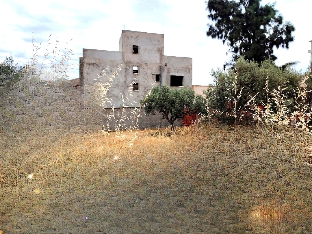 Soliman&nbsp;Dhahri&nbsp;Vente&nbsp;Surfaces&nbsp;Terrain agricole
