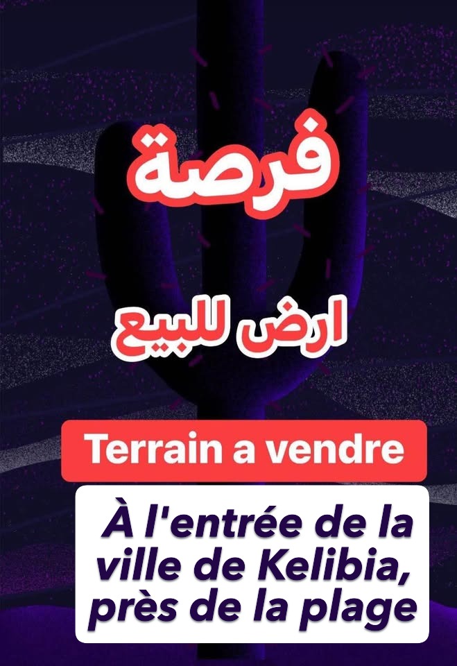 Vente&nbsp;Surfaces - Tunisie