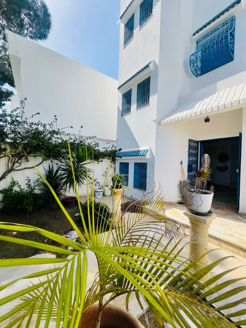 Hammamet&nbsp;Hammamet&nbsp;Vente&nbsp;Maisons&nbsp;V616 maison la palma z