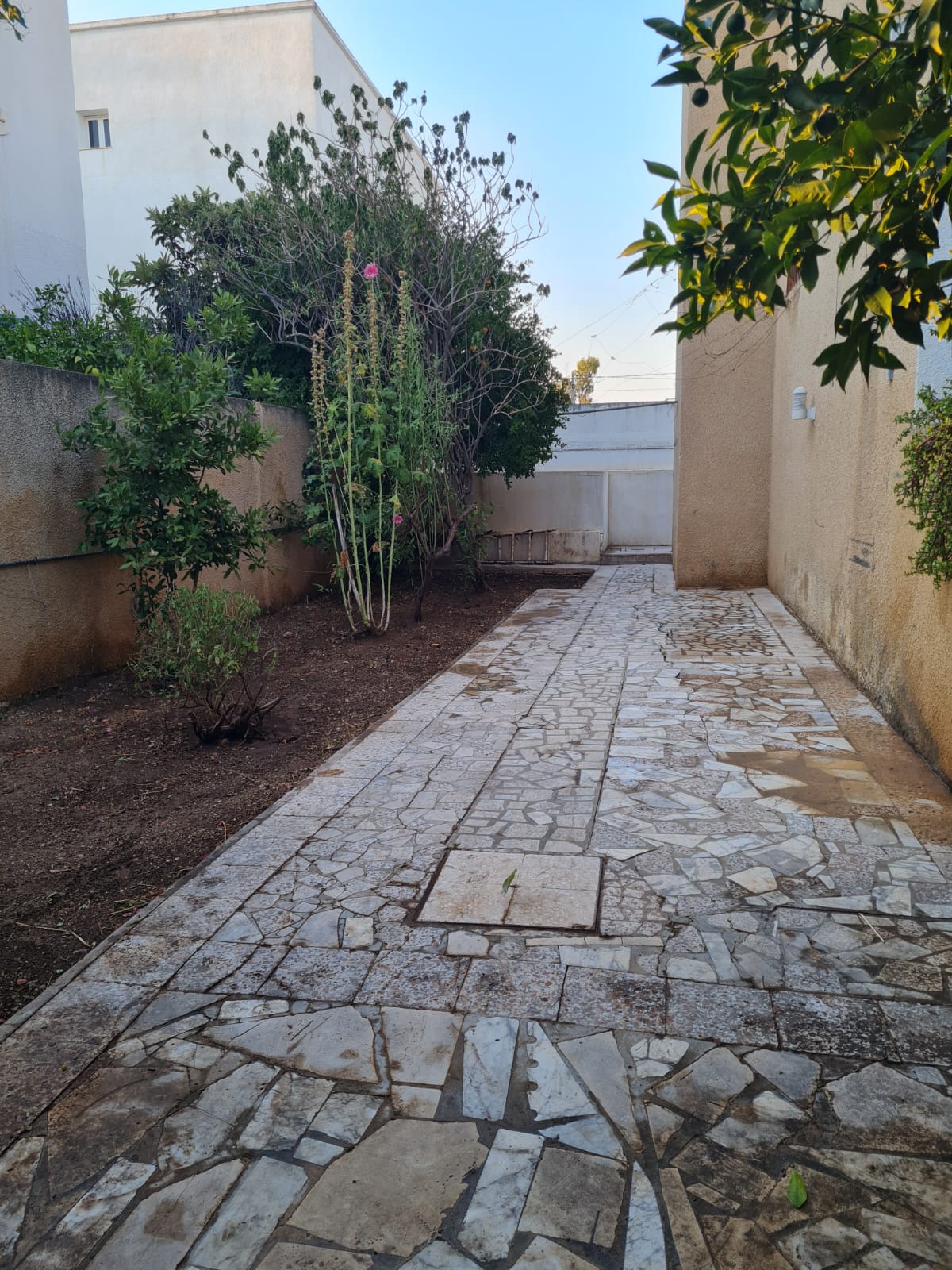 Vente Maisons - Tunisie