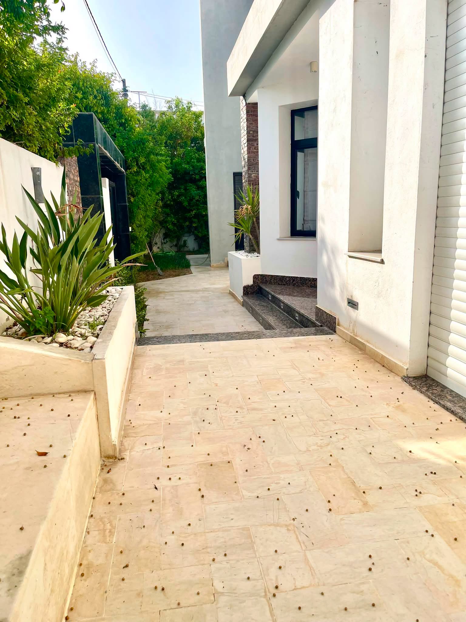 Megrine&nbsp;Megrine Riadh&nbsp;Vente&nbsp;Maisons&nbsp;Villa � megrine proche du future projet sama dubai