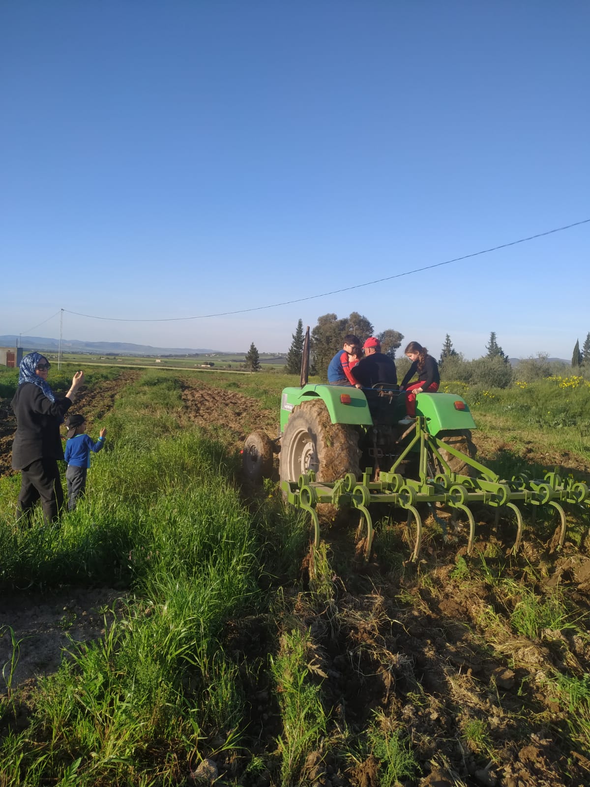 Bou Salem&nbsp;Badrouna&nbsp;Vente&nbsp;Autre&nbsp;Ferme � jandouba