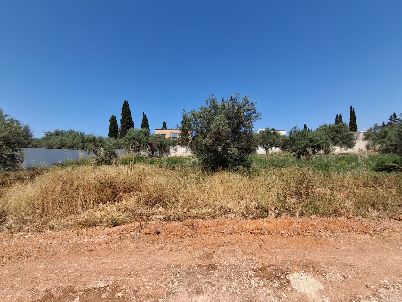 Raoued&nbsp;Borj Touil&nbsp;Vente&nbsp;Autre&nbsp;Deux terrains � borj touil