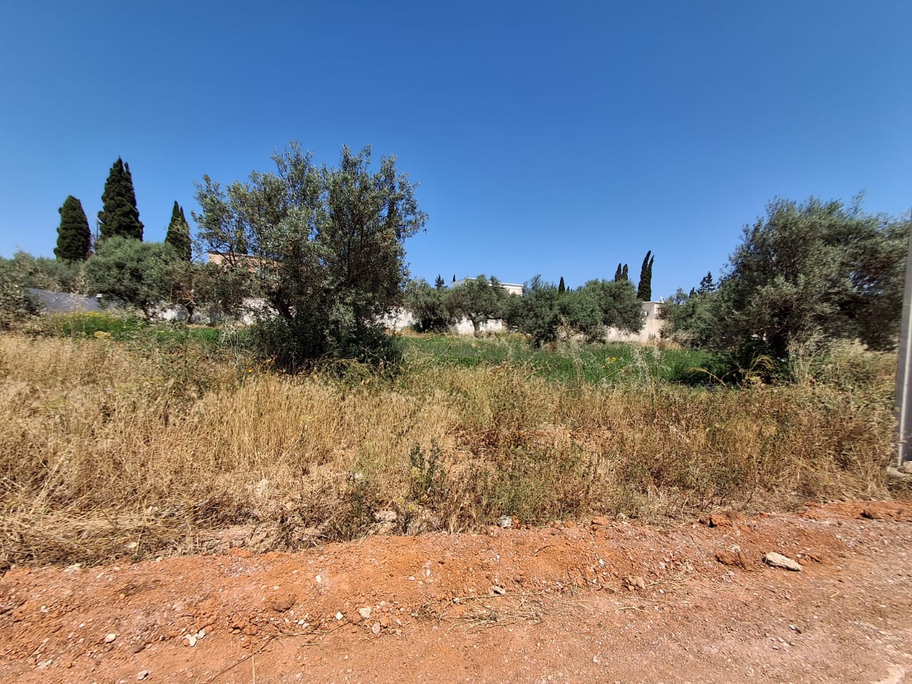 Raoued&nbsp;Borj Touil&nbsp;Vente&nbsp;Autre&nbsp;Deux terrains � borj touil