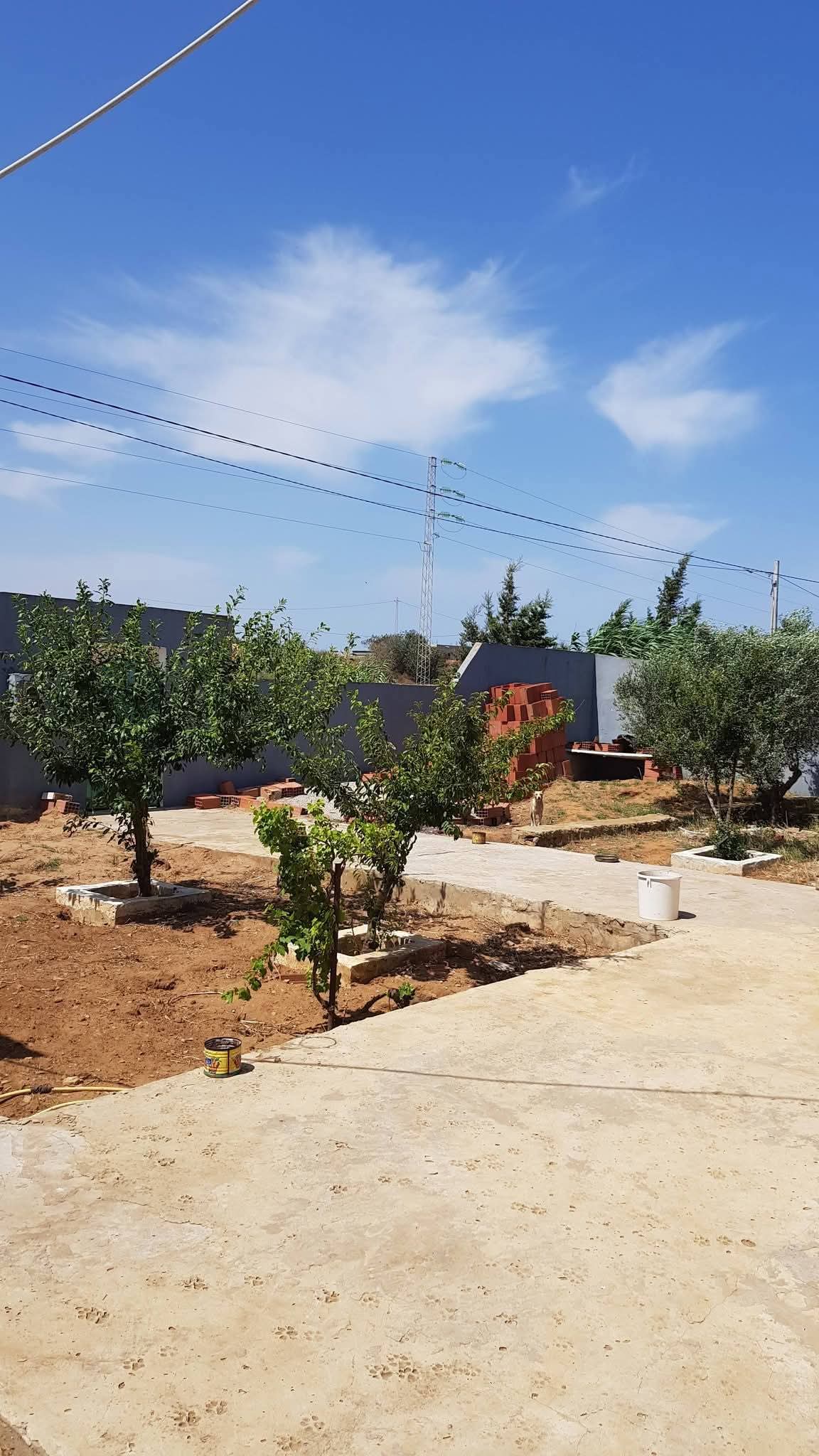 El Haouaria&nbsp;Sidi Daoud&nbsp;Vente&nbsp;Maisons&nbsp;Villa confortable ds 1000m2