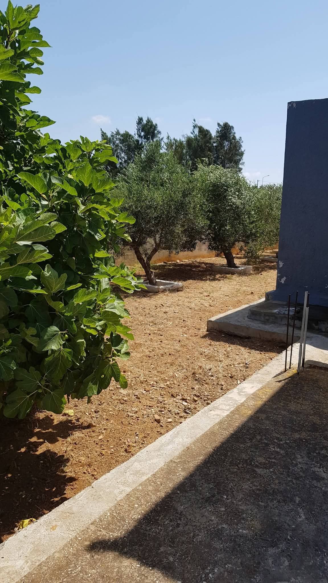 Vente&nbsp;Maisons - Tunisie
