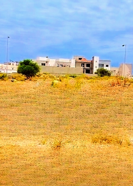 Vente Surfaces - Tunisie