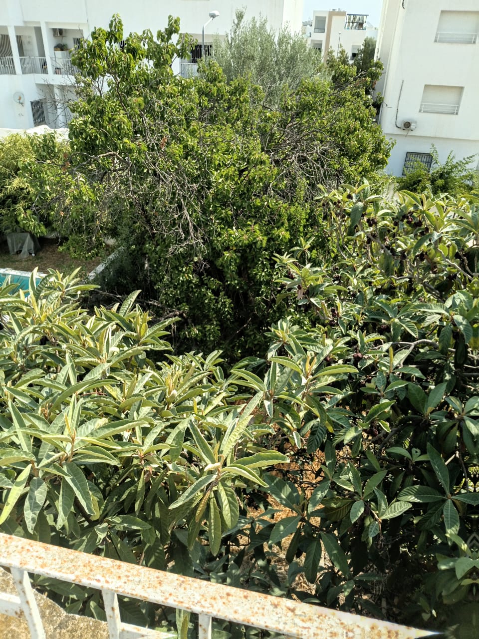 Vente&nbsp;Maisons - Tunisie