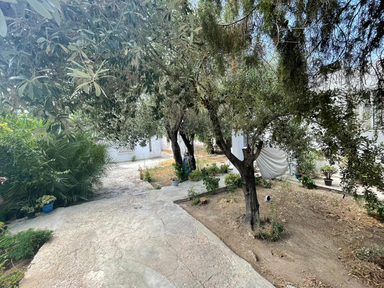 Vente&nbsp;Autre - Tunisie