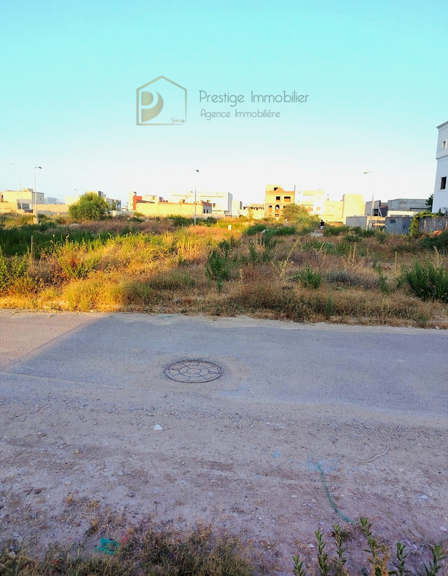 Vente Surfaces - Tunisie