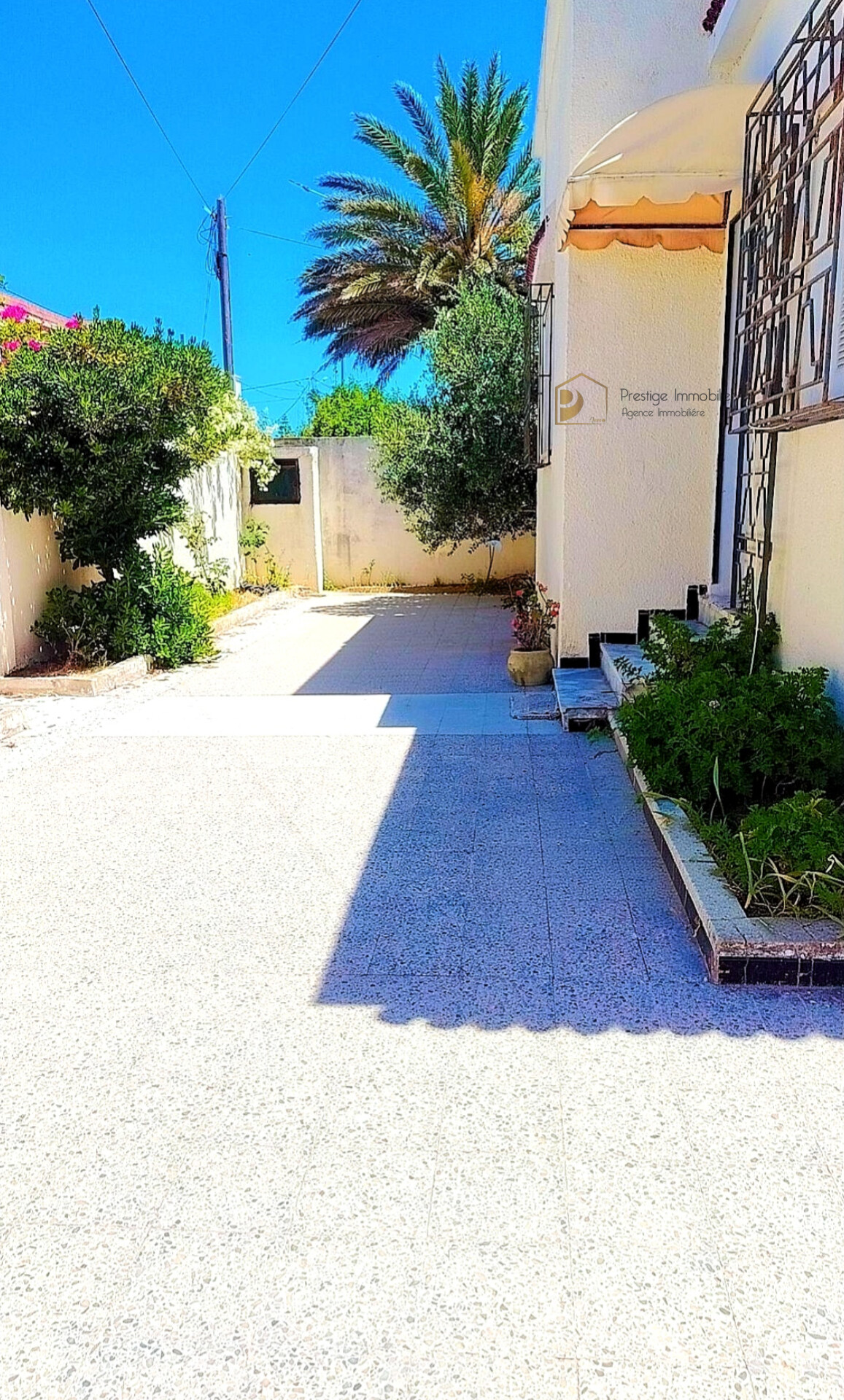 Soliman&nbsp;Soliman&nbsp;Vente&nbsp;Maisons&nbsp;Maison s3 et studio