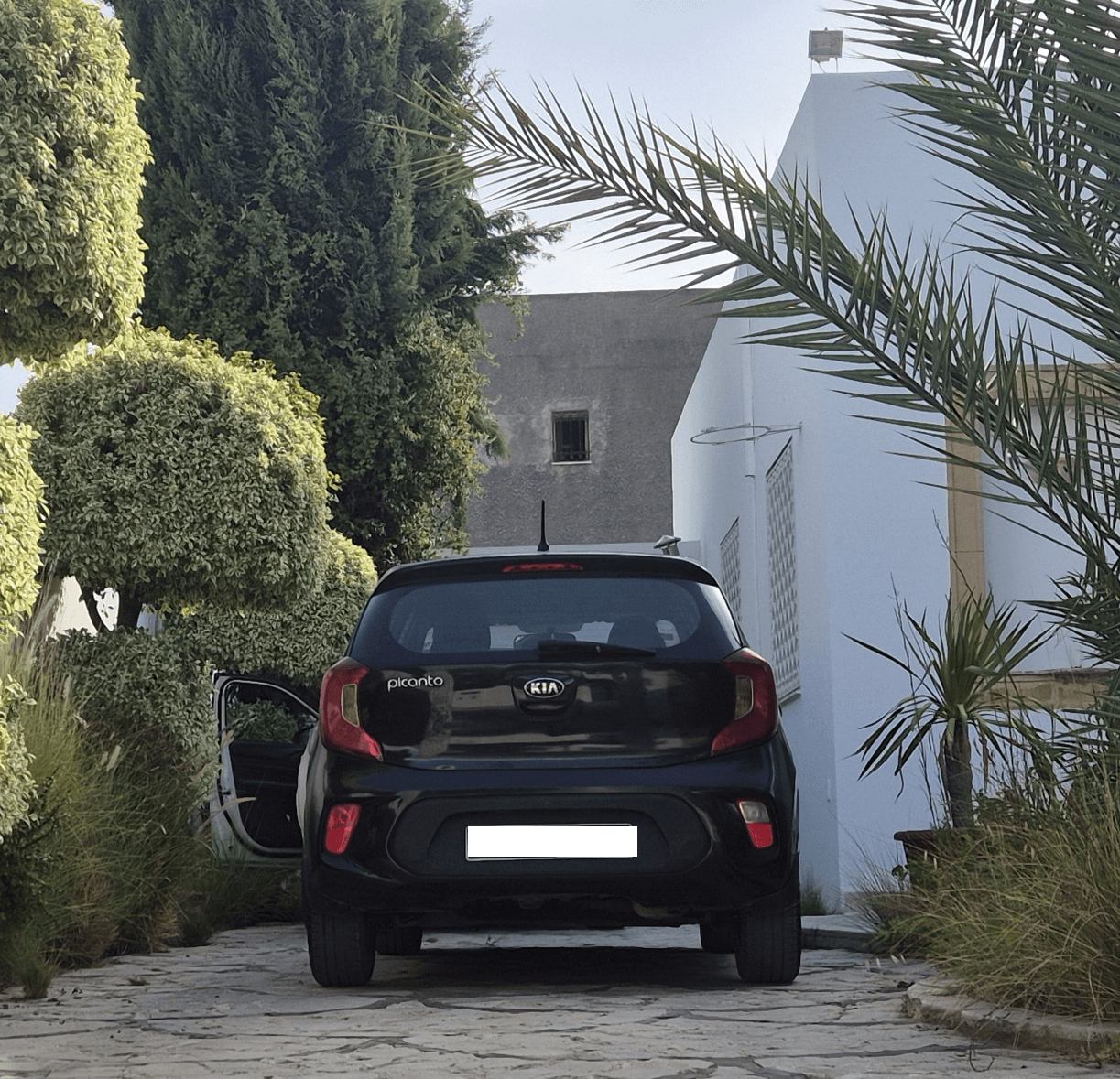 Bou Mhel El Bassatine&nbsp;Bou Mhel&nbsp;Kia&nbsp;Picanto&nbsp;Kia picanto noir pr�sidentiel cause voyage