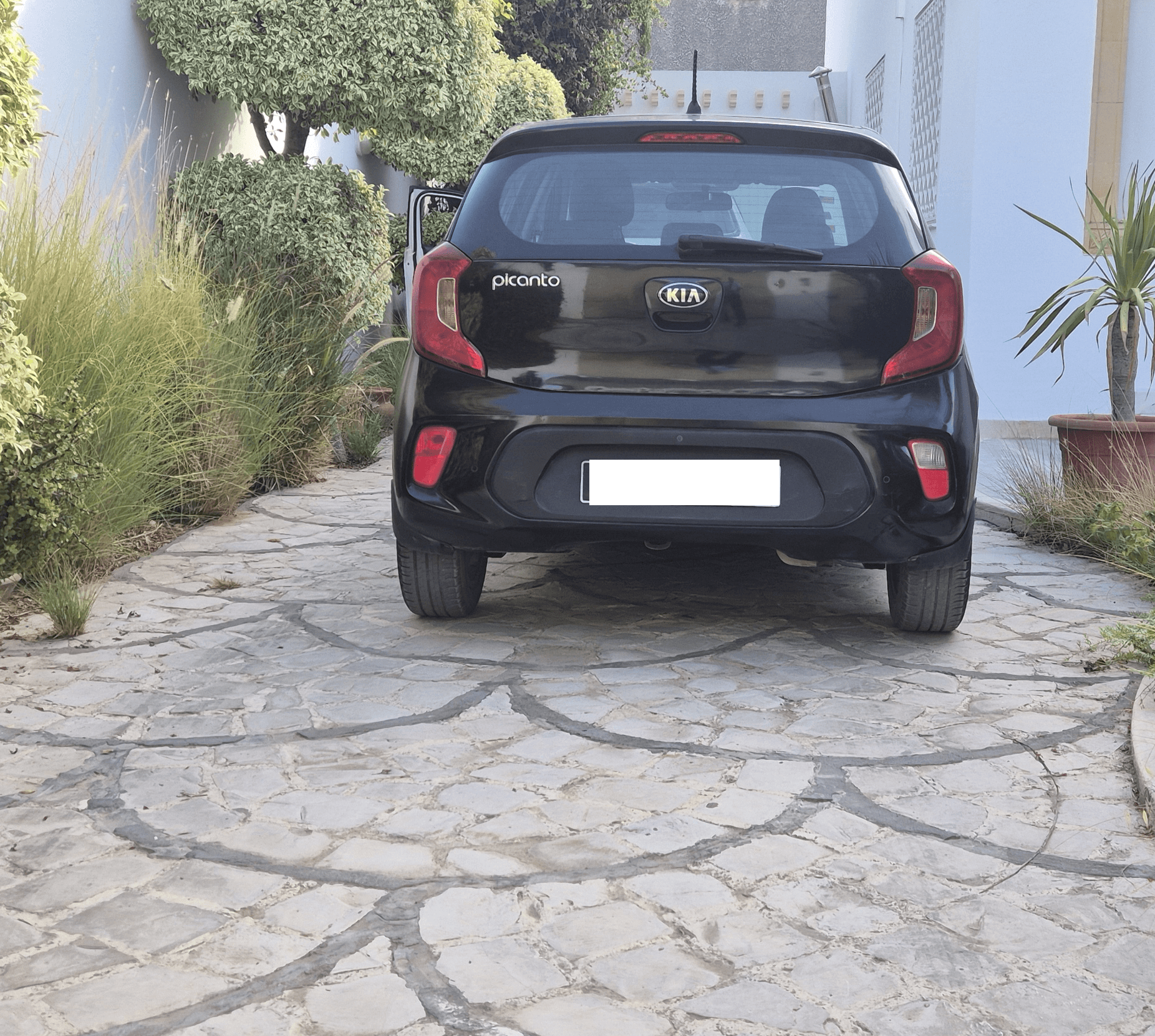 Bou Mhel El Bassatine&nbsp;Bou Mhel&nbsp;Kia&nbsp;Picanto&nbsp;Kia picanto noir pr�sidentiel cause voyage